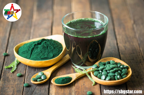 Tảo xoắn Spirulina dạng bột - SBG