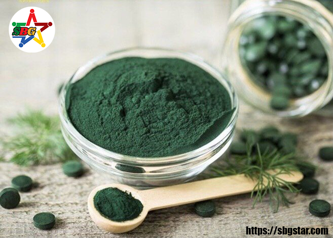 Một số kiến thức cơ bản về Tảo xoắn Spirulina