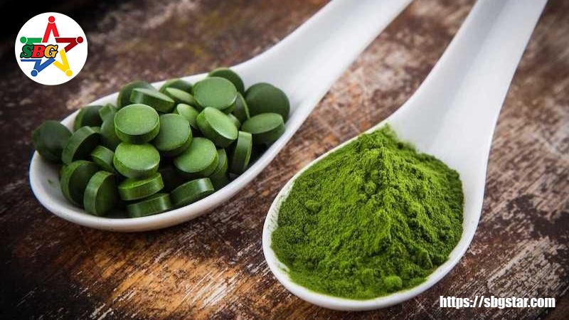 Một số kiến thức cơ bản về Tảo xoắn Spirulina