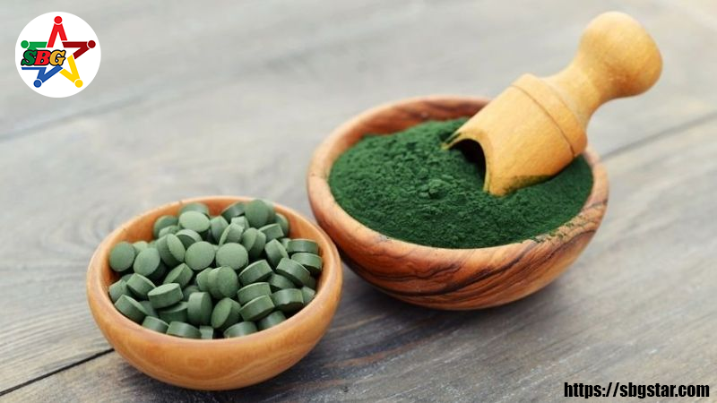 Một số kiến thức cơ bản về Tảo xoắn Spirulina