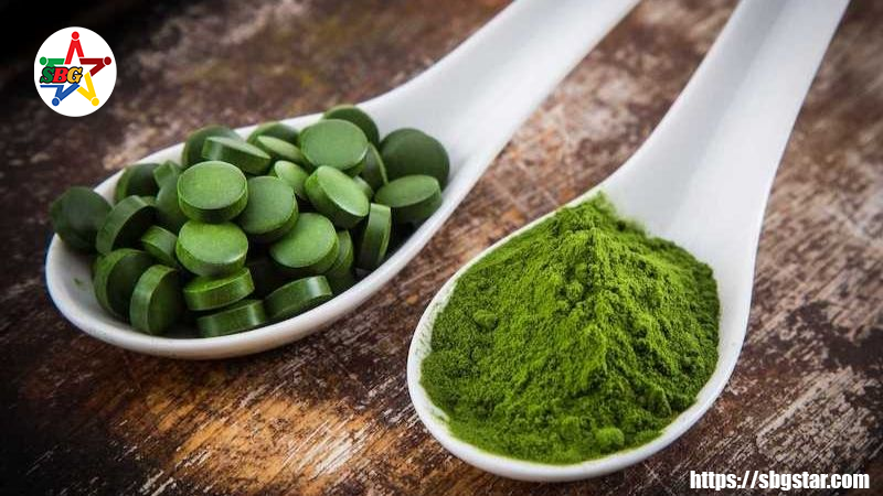 Một số kiến thức cơ bản về Tảo xoắn Spirulina