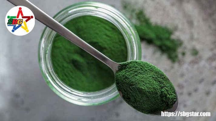 Một số kiến thức cơ bản về Tảo xoắn Spirulina