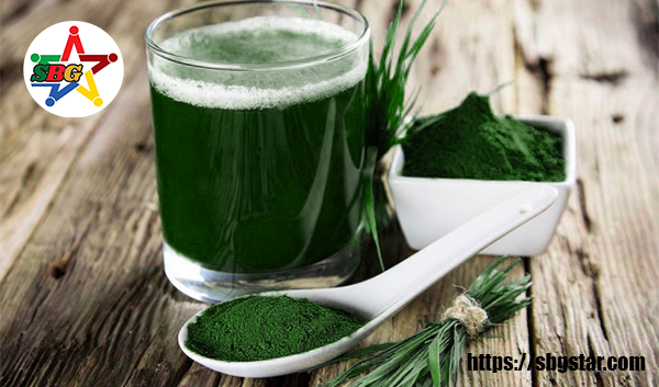 Tảo xoắn Spirulina - Món ăn dành cho người chay trường