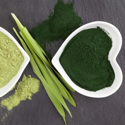 TẢO XOẮN SPIRULINA - MÓN QUÀ DÀNH CHO NGƯỜI VIÊM LOÉT DẠ DÀY, TÁ TRÀNG