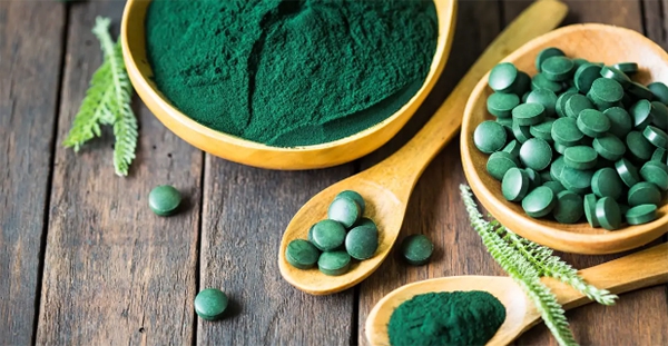 Một vài thông tin về Tảo xoắn Spirulina