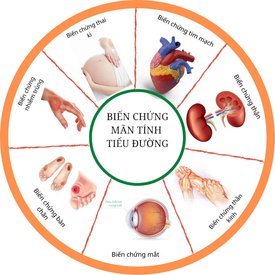 Thực phẩm trọng yếu trong thực đơn của người bệnh tiểu đường