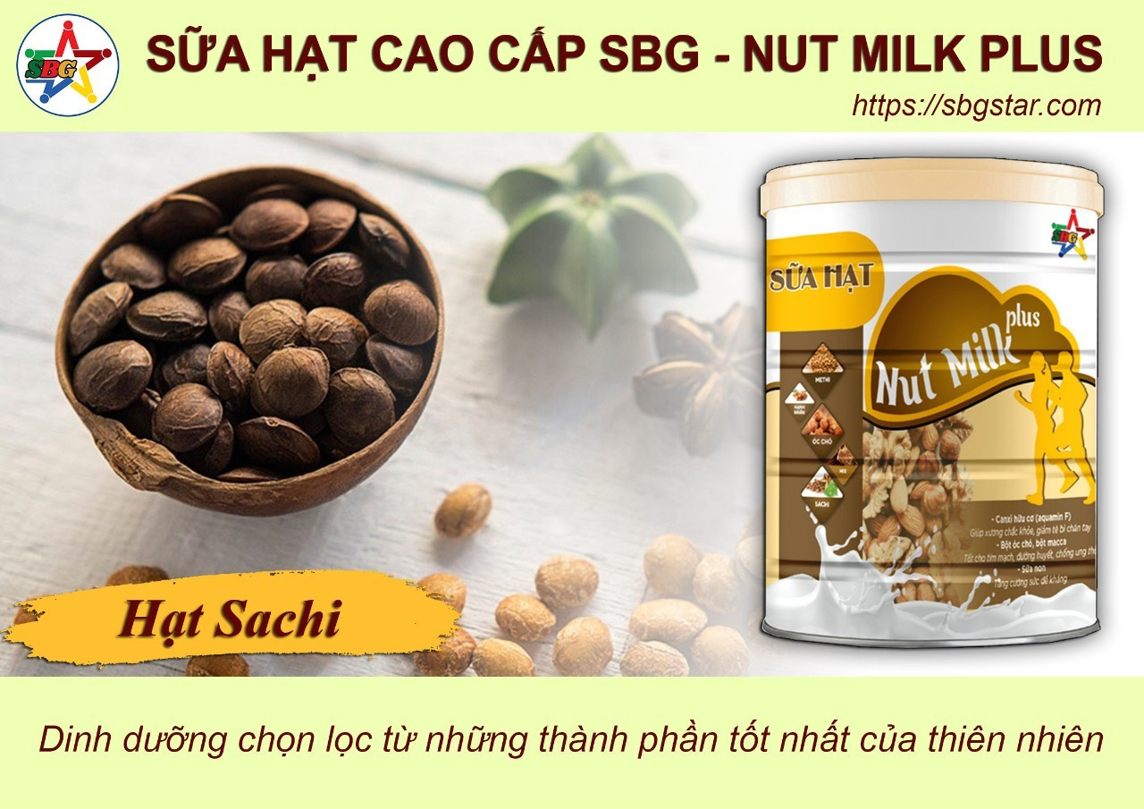 Hạt Sachi trong Sữa hạt cao cấp SBG - Nut Milk Plus