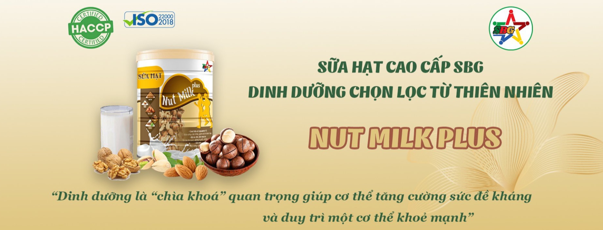 Sữa hạt SBG - Nut Milk Plus 2